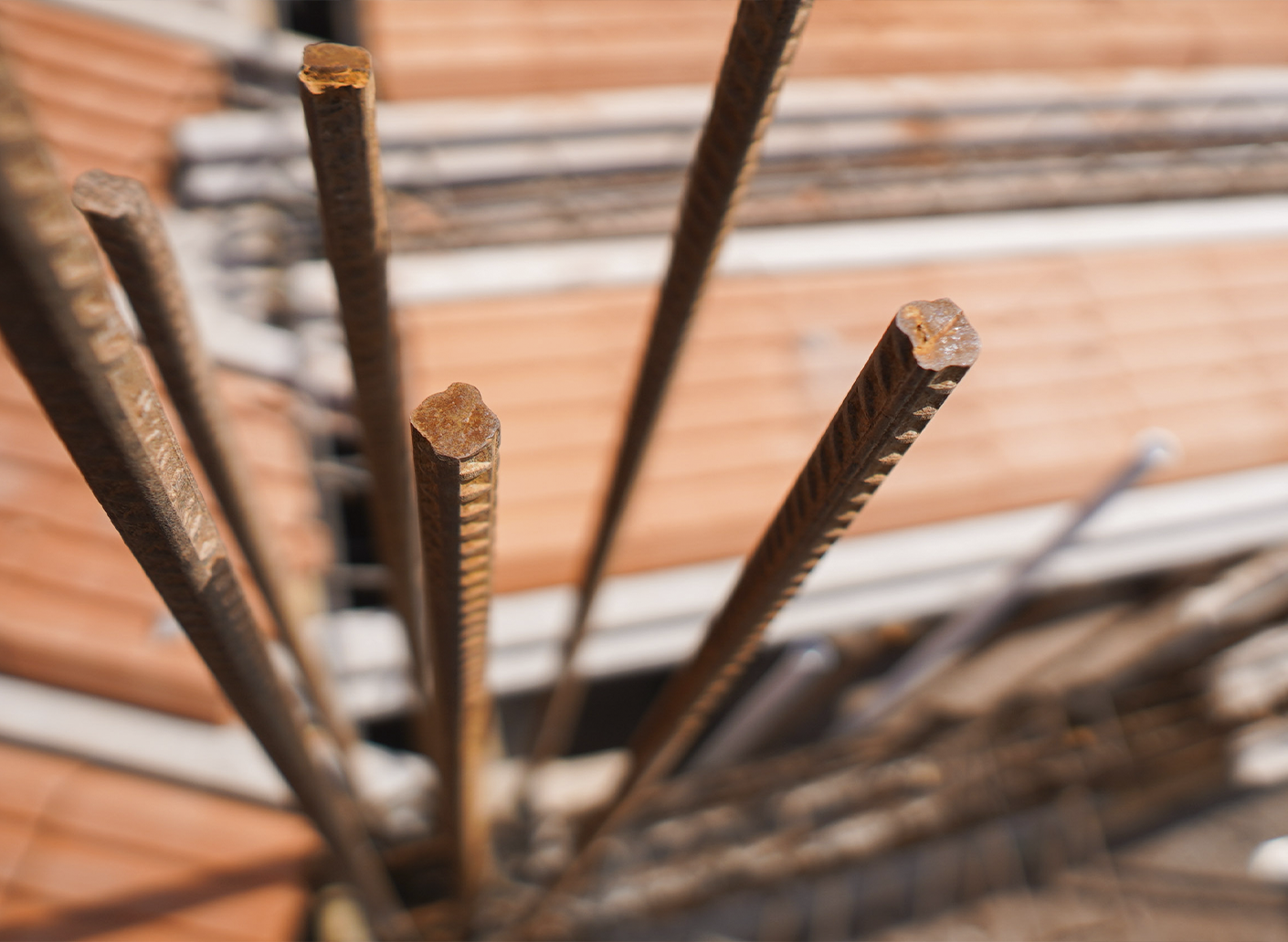 Lar de Drumond | Vivienda Unifamiliar